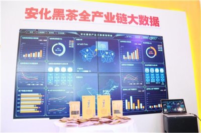 高馬二溪亮相全國(guó)“雙新雙創(chuàng)”博覽會(huì) 大數(shù)據(jù)賦能?chē)?guó)禮茶，探索金融信息服務(wù)新路徑